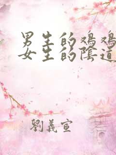 男生的鸡鸡插入女生的阴道视频