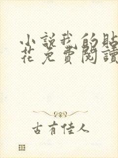 小说我的贴身校花免费阅读全文