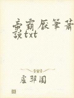 帝霸厌笔萧生小说txt