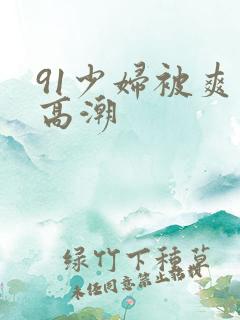 91少妇被爽到高潮