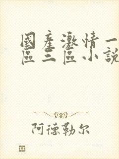 国产激情一区二区三区小说