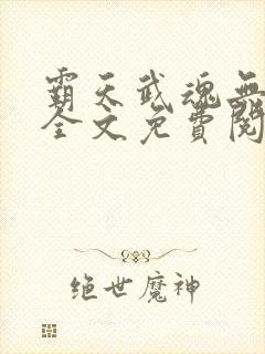 霸天武魂无弹窗全文免费阅读