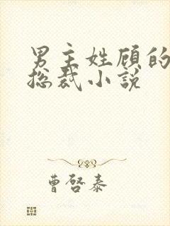 男主姓顾的霸道总裁小说