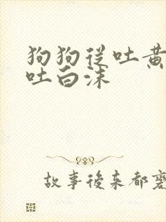 狗狗从吐黄水到吐白沫