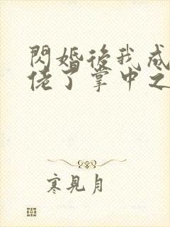 闪婚后我成了大佬了掌中之物