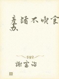 产猪不吃食怎么办