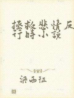 拯救悲情反派进行时小说