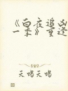 《白夜追凶 第一季》重逢版40集完整版