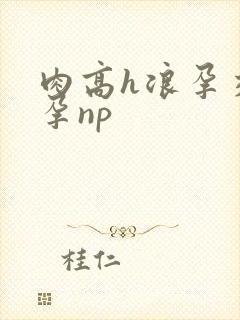 肉高h浪孕交怀孕np