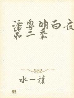 潘粤明白夜追凶第二季