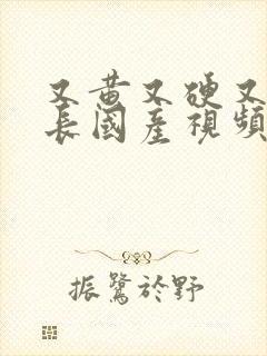 又黄又硬又粗又长国产视频