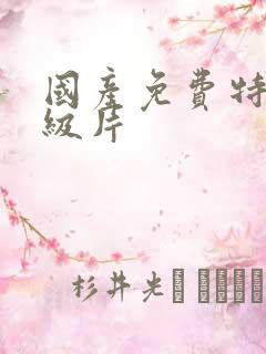 国产免费特黄一级片