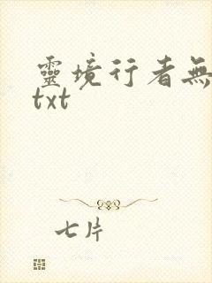 灵境行者无删减txt