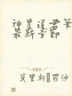 神农道君笔趣阁最新章节