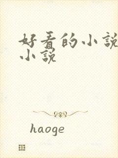 好看的小说言情小说