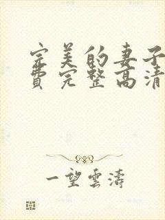 完美的妻子4免费完整高清电视剧在线看