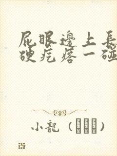 屁眼边上长了个硬疙瘩一碰会疼