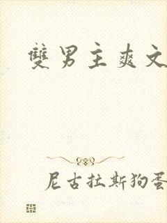 双男主爽文推荐