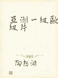 亚洲一级欧美一级片