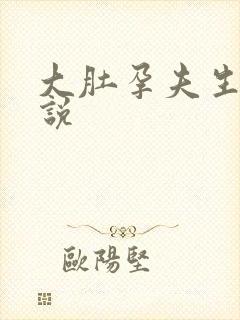 大肚孕夫生子小说