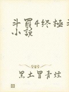 斗罗4终极斗罗小说