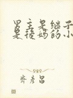 男主是继子女主是后妈的小说