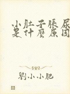 小肚子胀尿不尽是什么原因女性