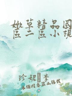 嫩草精品国内一区二区小视频