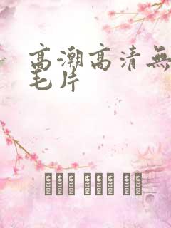 高潮高清无遮挡毛片