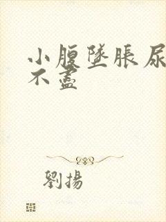 小腹坠胀尿频尿不尽