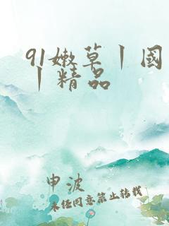 91嫩草丨国产丨精品