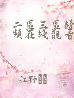 二区三区精品视频在线观看