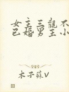 女主三观不正抢已婚男主小说