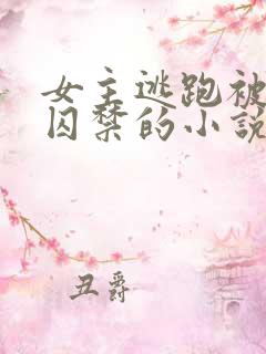 女主逃跑被捉回囚禁的小说