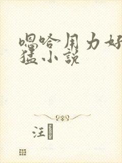 嗯哈用力好大好猛小说