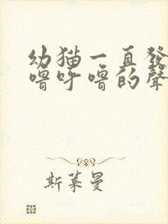 幼猫一直发出呼噜呼噜的声音