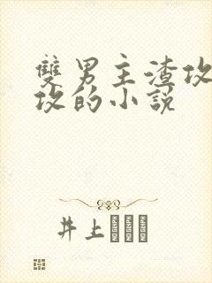 双男主渣攻被反攻的小说