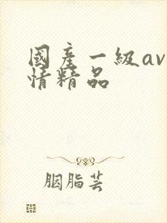 国产一级av剧情精品