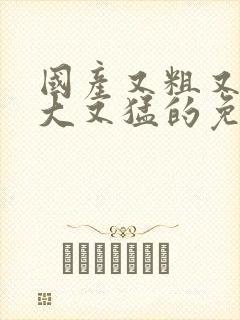 国产又粗又硬又大又猛的免费视频