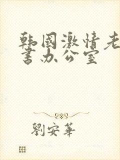 韩国激情老板秘书办公室