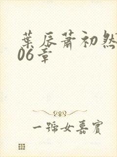 叶辰萧初然2906章