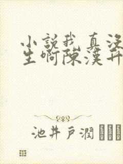 小说我真没想重生啊陈汉升全文阅读