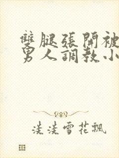 双腿张开被9个男人调教小说