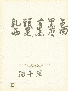 乳头有黑色的东西是怎么回事