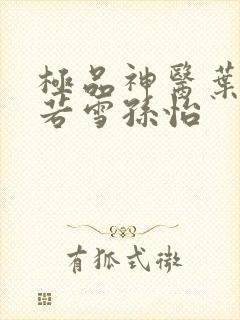 极品神医叶辰夏若雪孙怡