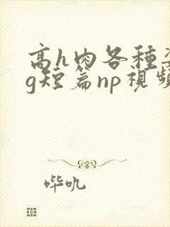 高h肉各种姿势g短篇np视频