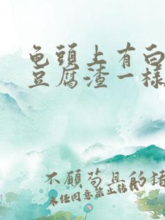 龟头上有白色像豆腐渣一样的东西