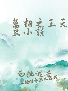 万相之王天蚕土豆小说