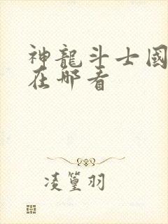 神龙斗士国语版在哪看