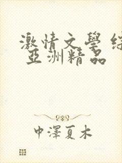 激情文学 综合 亚洲精品